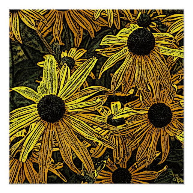POSTER RUDBECKIAS (Devant)