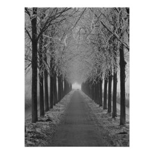 Poster Rue hiver