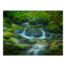 Ruisseau de la forêt irlandaise – Impression photo