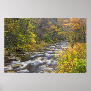 Poster Ruisseau Rugissant en automne dans le Green du Ver