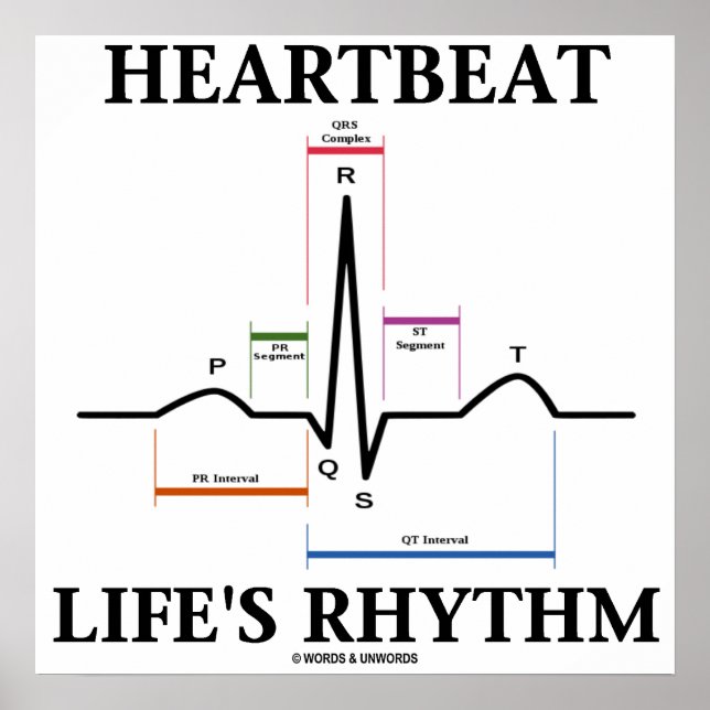 Poster Rythme de la vie Heartbeat (ECG / EKG Heartbeat) (Devant)