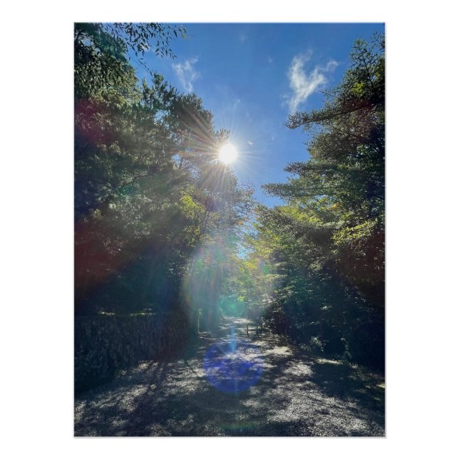 Poster Sacred Light on a Forest Path in Japan (Devant)