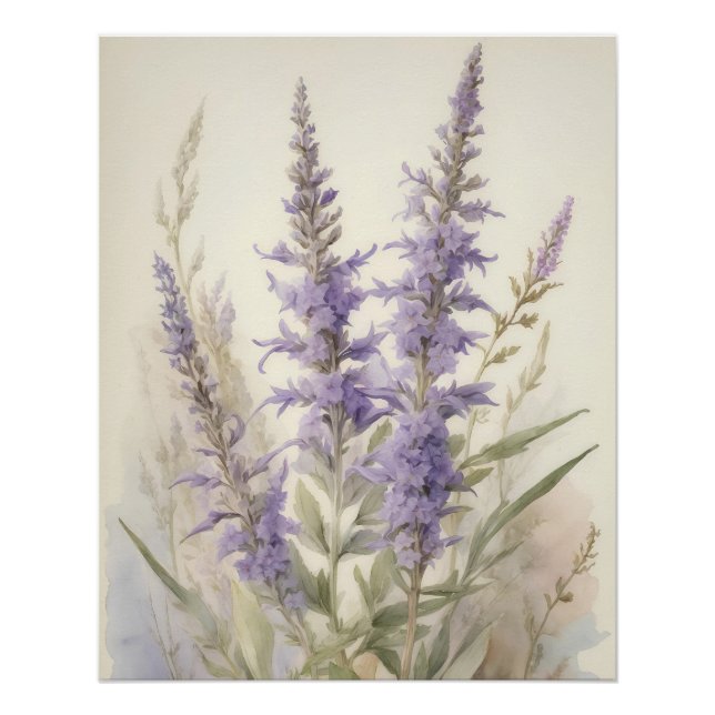 Poster Sage russe (Devant)