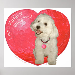 Poster Saint-Valentin Havanais