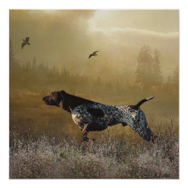 Poster Saison de chasse, pointeur allemand à courte durée (Devant)