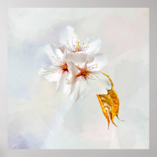 Poster Sakura - Fleur de cerisier japonaise