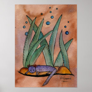 Poster Salamandre de Barton Springs