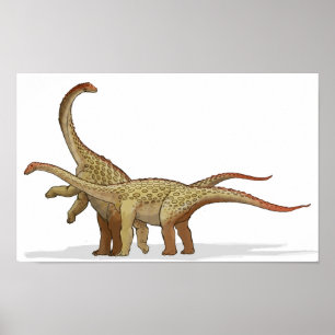 Poster Saltasaurus - Portefeuille de dinosaures crétacés