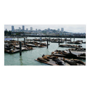 Poster San Francisco et Otaries de Pier 39 Ciel de la Vil