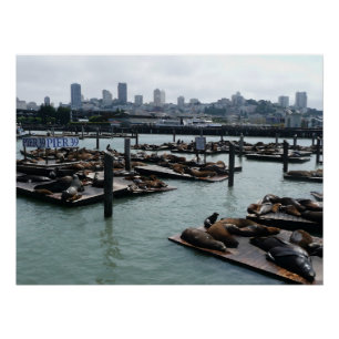 Poster San Francisco et Otaries de Pier 39 Ciel de la Vil