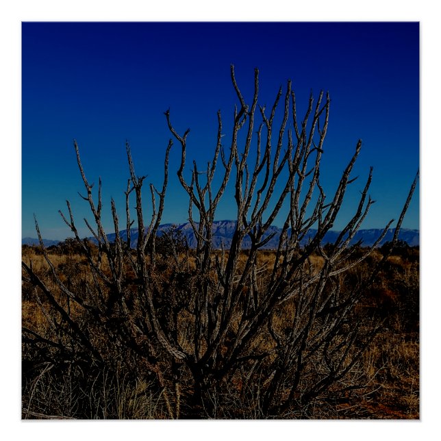 Poster Sandia Mountains Albuquerque  (Devant)
