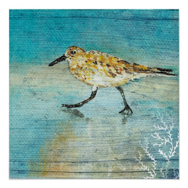 Poster Sandpiper Beach Shorbird Art Patiné Imprimer (Devant)