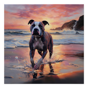 Poster Sandy American Staffordshire Dog on Beach Sunset