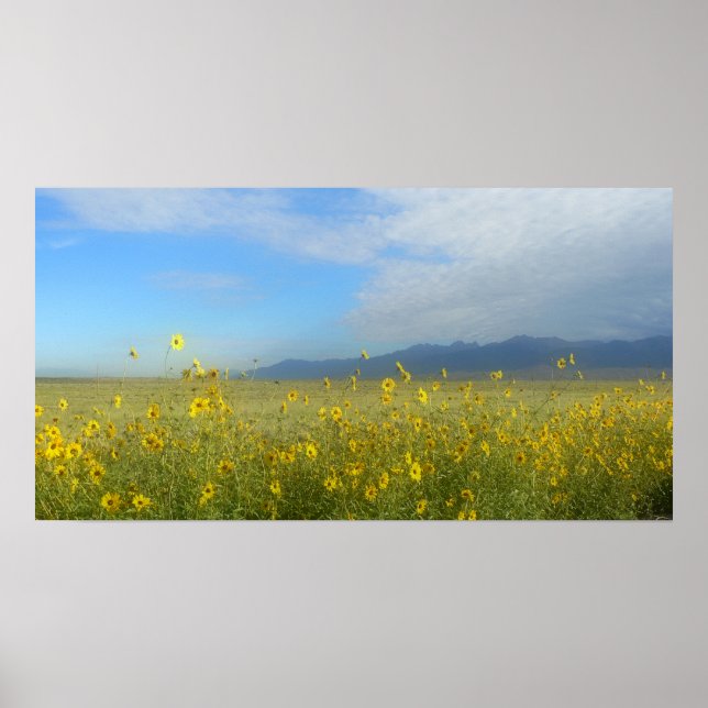 Poster Sangre de Cristo, Great Sand Dunes et fleurs (Devant)