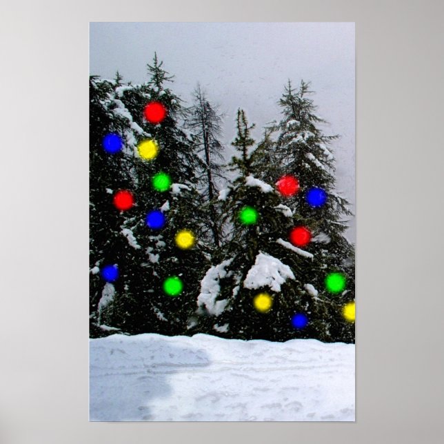 Poster sapins de Noël (Devant)