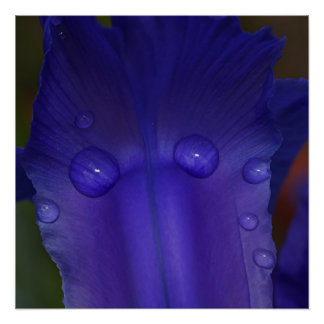 Poster Sapphire Serenity 