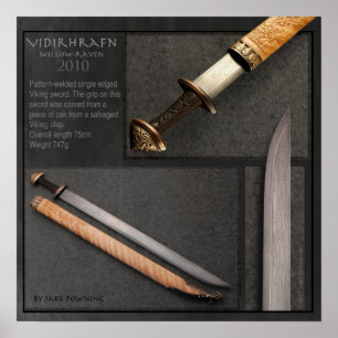 Poster Saule Raven par Jake Powning