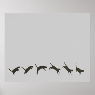 Poster Sauts de chats