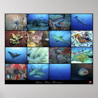Poster Sauver nos océans
