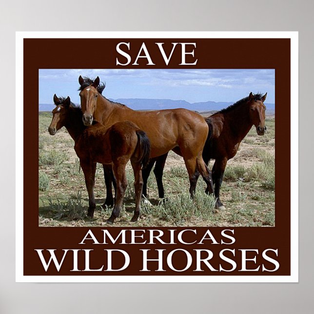 Poster Sauvez les chevaux sauvages (Devant)
