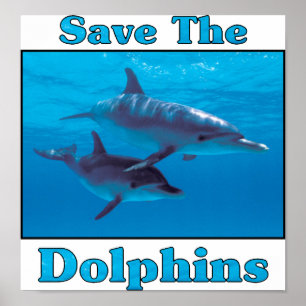 Poster Sauvez les dauphins