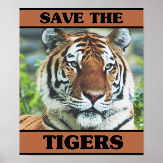 Poster Sauvez les tigres (Devant)