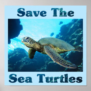 Poster Sauvez les tortues marines