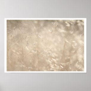 Poster Savannah Golden Grass A3