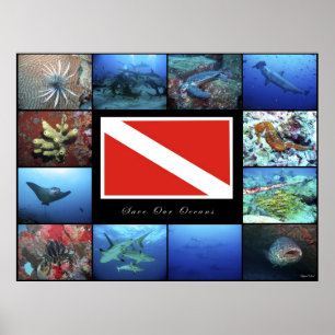 Poster Save Our Oceans