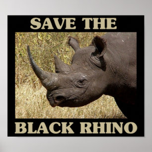 Poster Save the Black Rhino