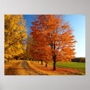 Poster Scène D'Automne Dans Le Vermont