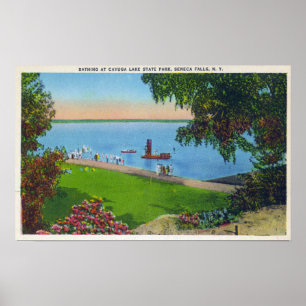 Poster Scène de natation au Parc d'État du lac Cayuga