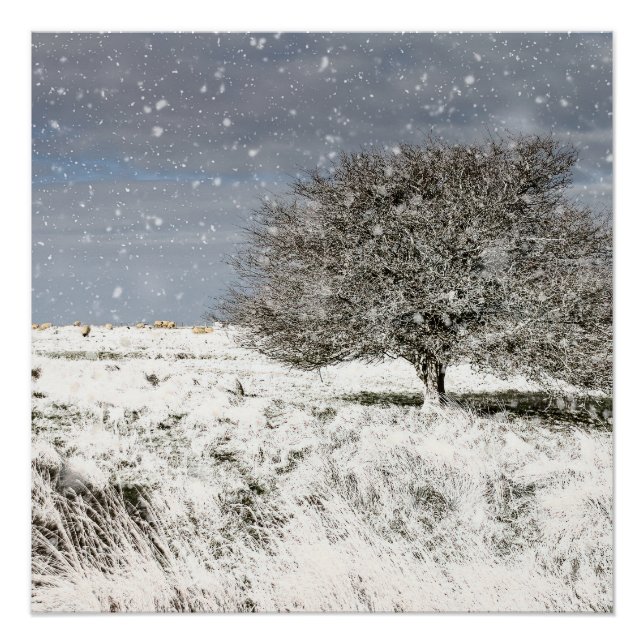 Poster Scène de neige (Devant)