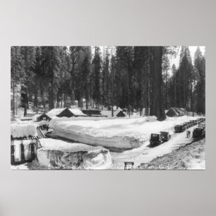 Poster Scène de neige de parc national de séquoia dans le