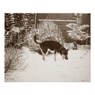 Poster Scène de neige d'hiver avec le chien noir et