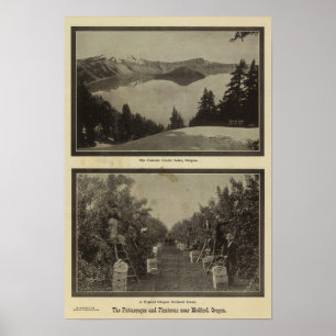 Poster Scène de verger de l'Orégon de lac crater
