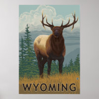 Scène ElkWyoming