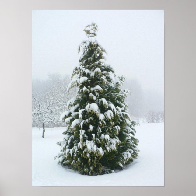 Poster Scène hivernale de l'affiche (Devant)