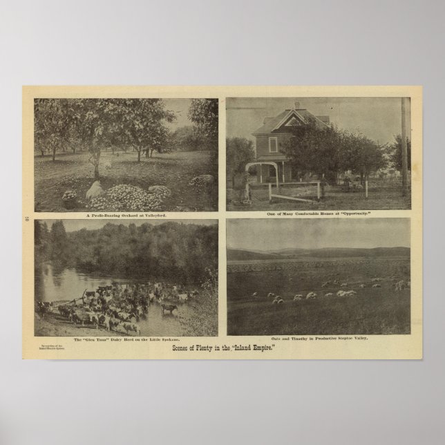 Poster Scènes dans l'Empire terrestre (Devant)