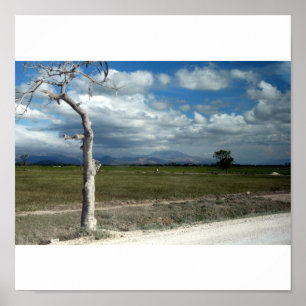 Poster Scènes d'Haïti
