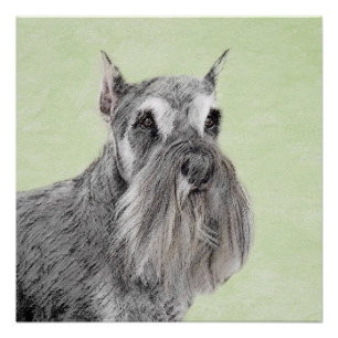 Poster Schnauzer (Giant, Standard) Peinture - Chien Art