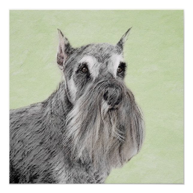 Poster Schnauzer (Giant, Standard) Peinture - Chien Art (Devant)