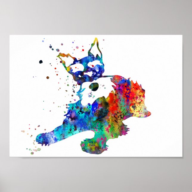 Poster Schnauzer miniature, aquarelle Schnauze miniature (Devant)