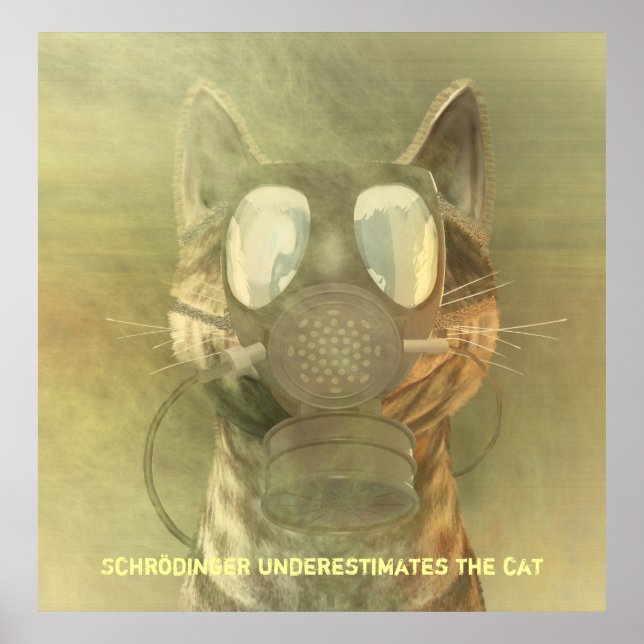 Poster Schrödinger sous-estime l'affiche du chat (Devant)