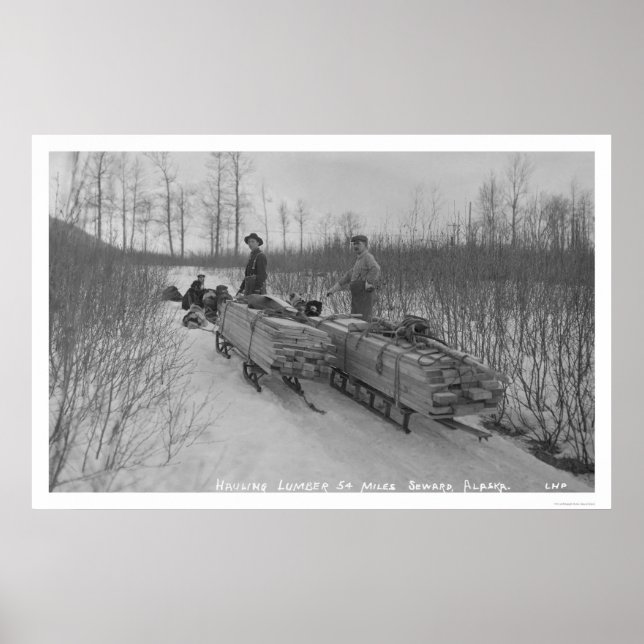 Poster Sciage de chien de bois, Alaska 1917 (Devant)