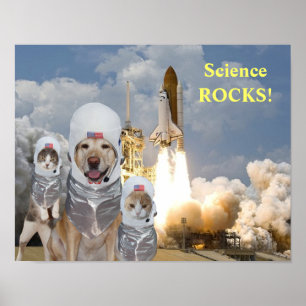 Poster scientifique des astronautes chiens/chats a