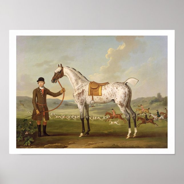 Poster Scipio, Colonel Roche's Spotted Hunter, vers 1750  (Devant)