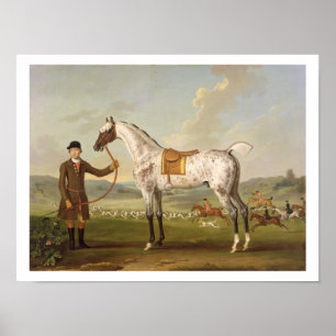 Poster Scipio, Hunter de Spotted, c.1750 (oi de colonel