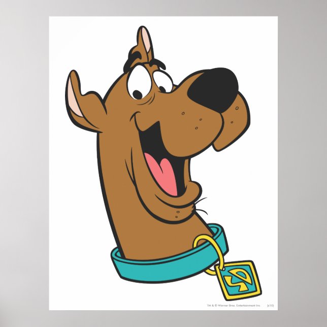 Poster Scooby-Doo Joyeux Visage (Devant)