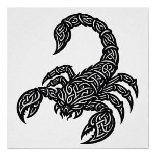 Poster Scorpion Sigil du Scorpion — Encre Mythique du Zod